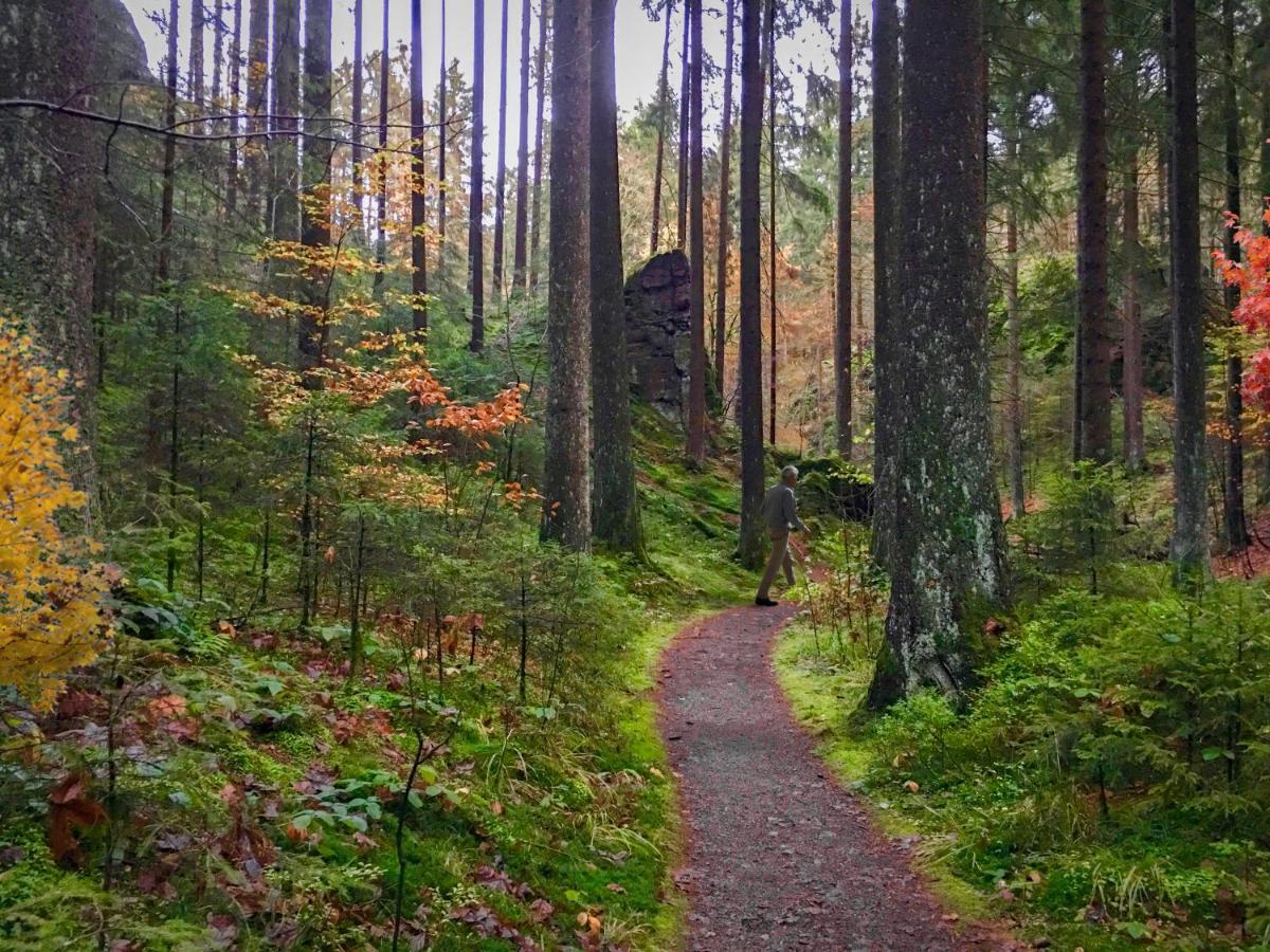Harz Hotel Und Gaestehaus Am Bornweg Bad Sachsa Exteriör bild